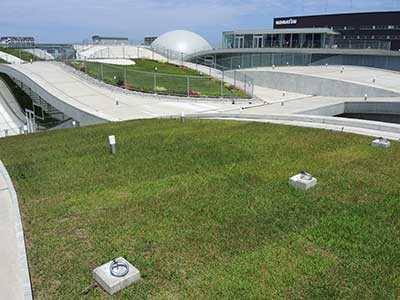 Hill of the Wind Hill of the Wind